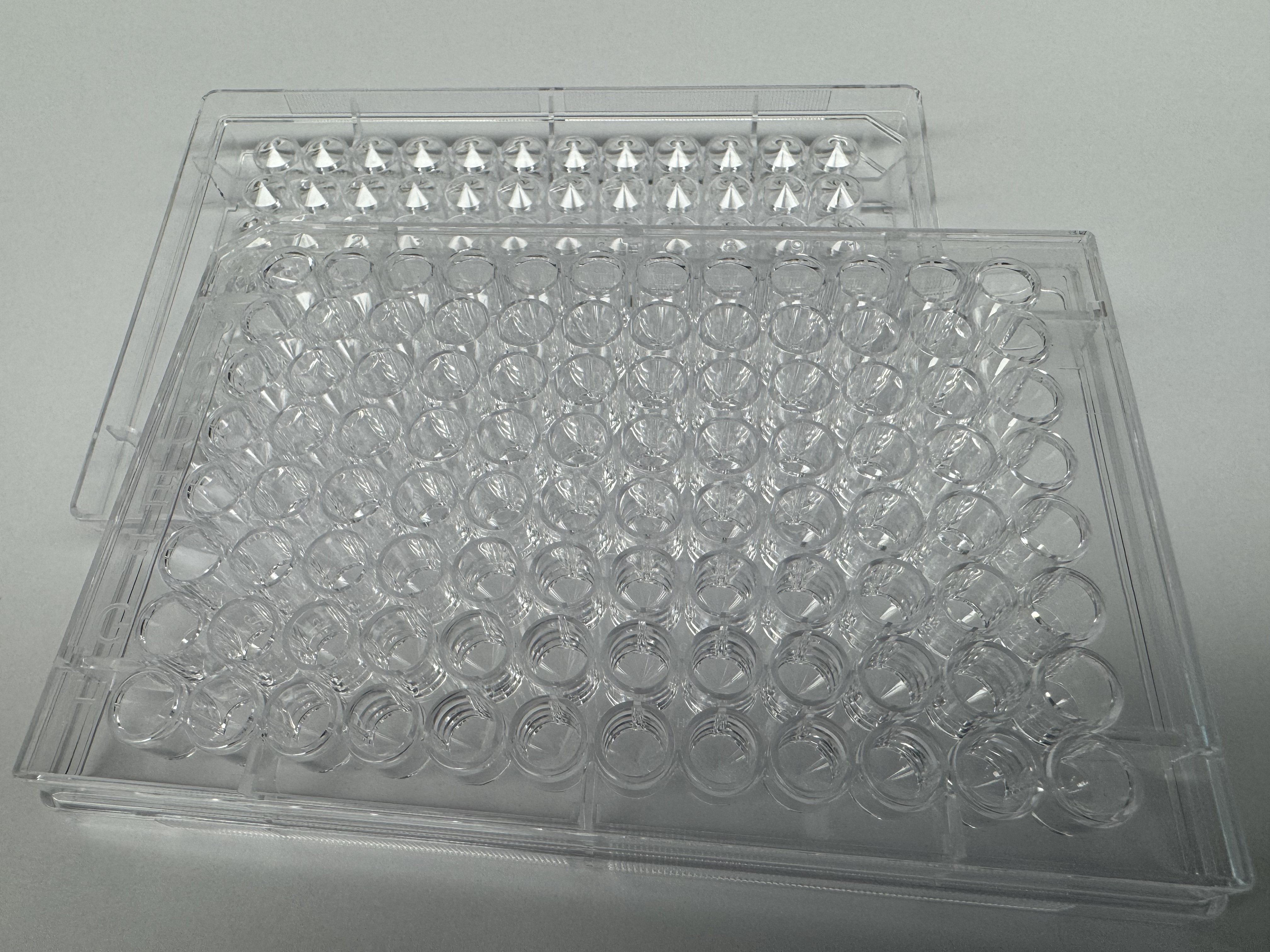 U-Bio 1006-96V Clear 96-Well Plate