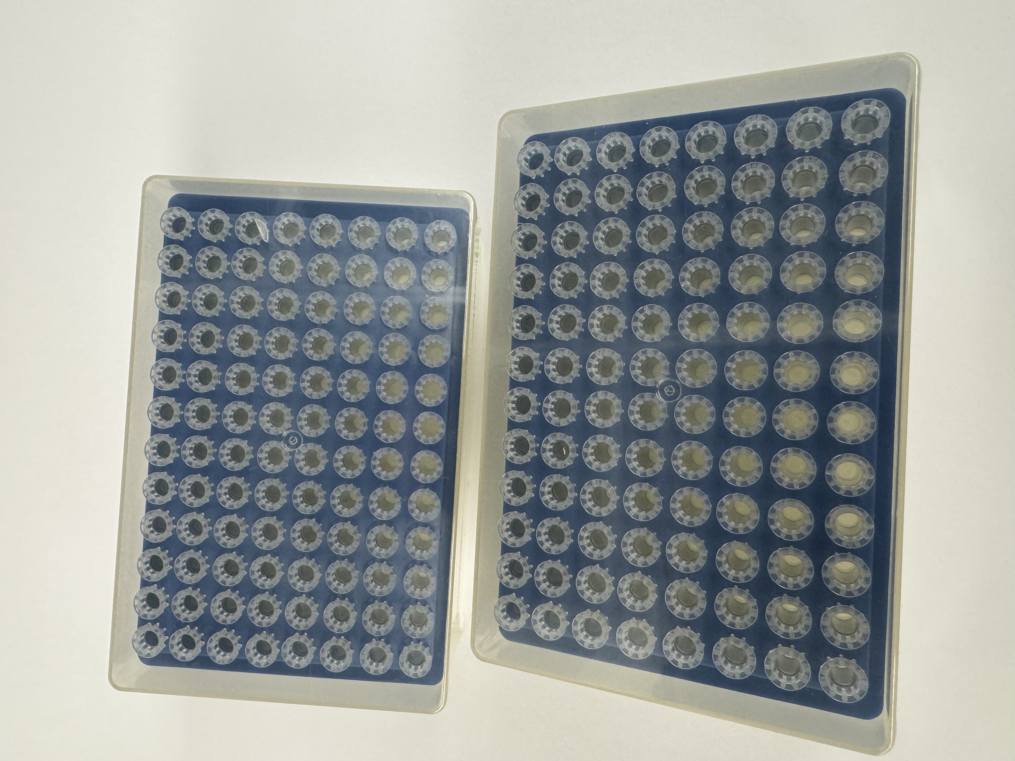 U-Bio 1006-PIP-250-RS Pipette Tips