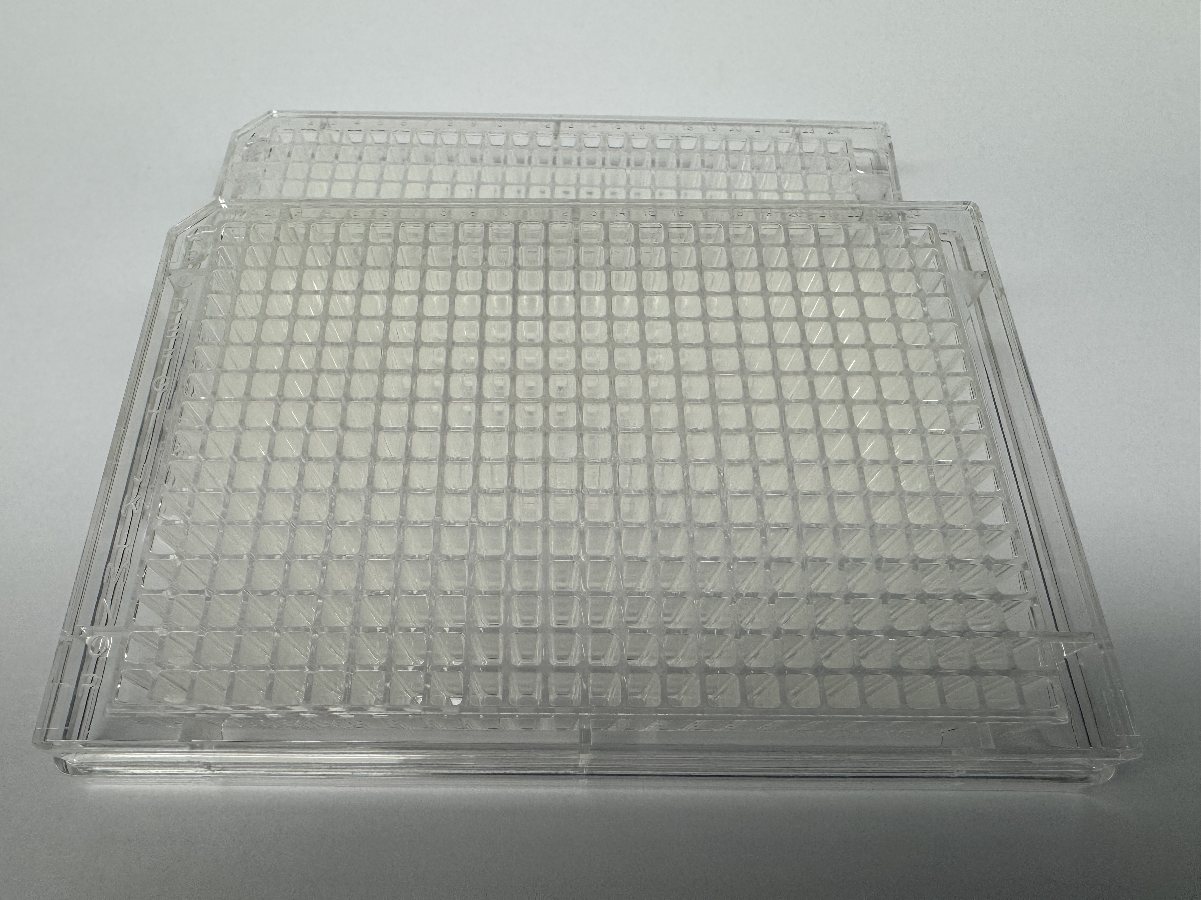 U-Bio 5008 Clear 384-Well Plate