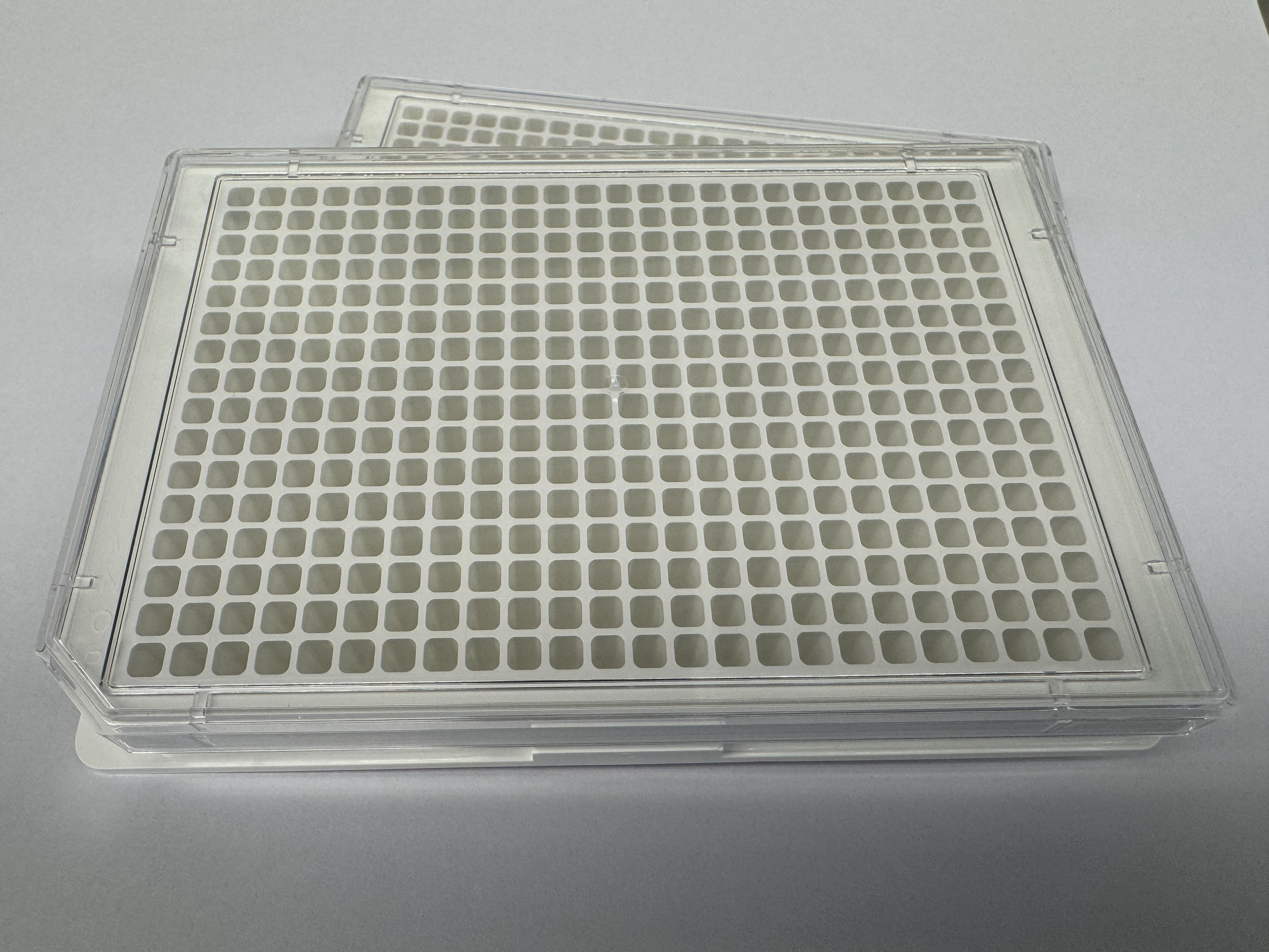 U-Bio 7008TC White 384-Well Plate