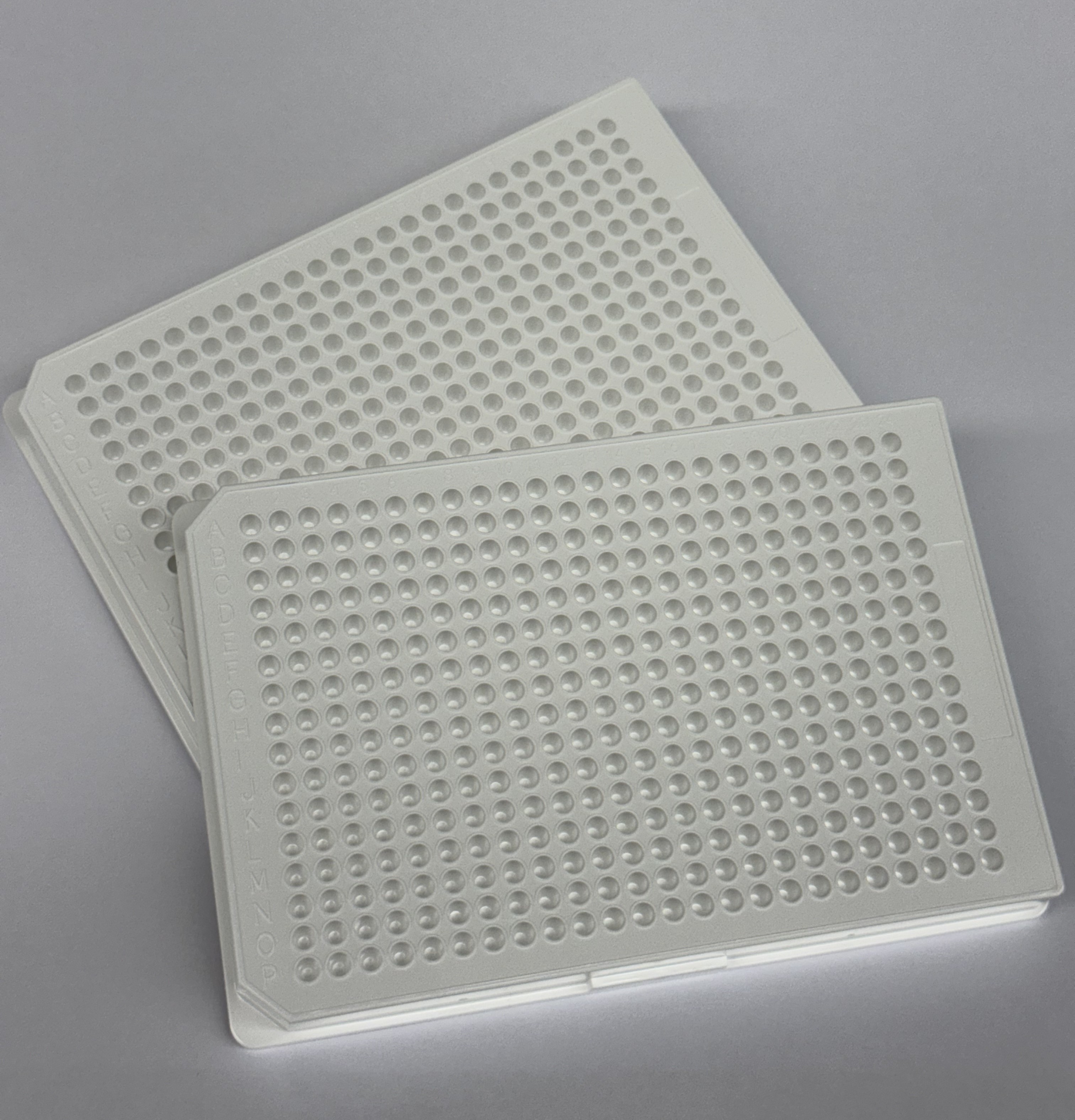 U-Bio 8007 White 384-Well Plate