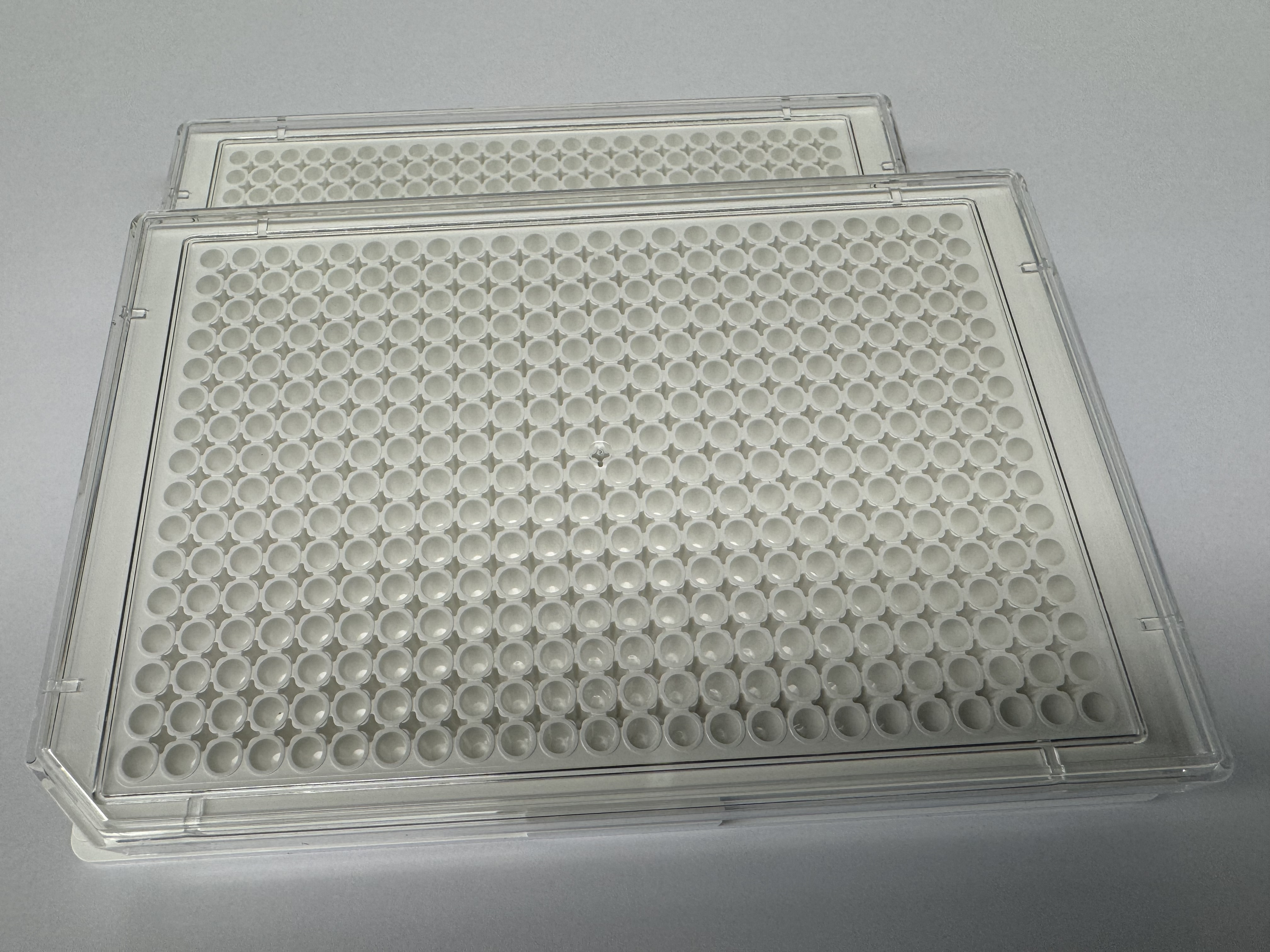 U-Bio 8008TC White 384-Well Plate